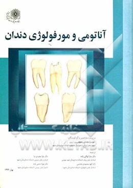 آناتومی و مورفولوژی دندان