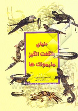 دنیای شگفت‌انگیز مارمولک‌ها