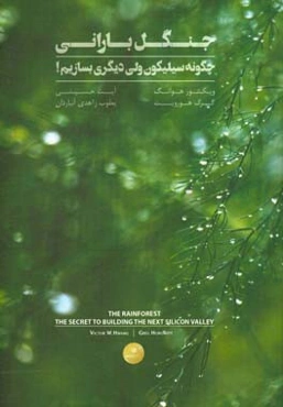 جنگل بارانی: چگونه سیلیکون ولی دیگری بسازیم