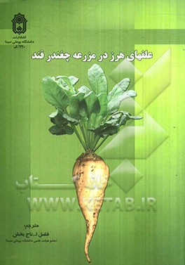 علف‌های هرز در مزرعه چغندر قند