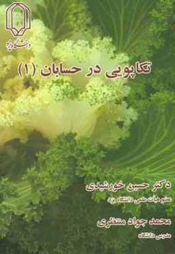 تکاپویی در حسابان (1)