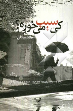 کی سیب می‌خوره (مجموعه داستان)