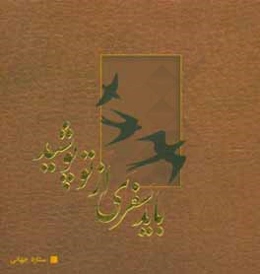 باید سفری از تو پوشید