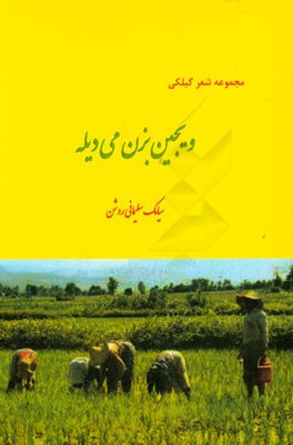 ویجین بزن می‌دیله: مجموعه شعر گیلکی