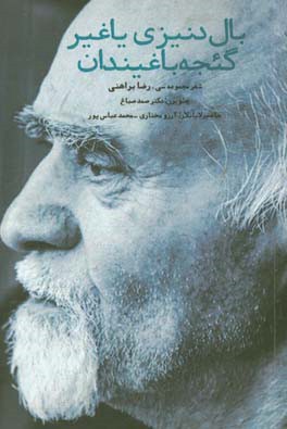 بال دنیزی یاغیر گئجه باغیندان