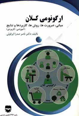 ارگونومی کلان