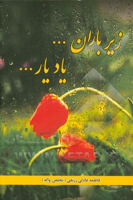 زیر باران ... یاد یار ...