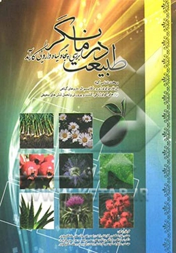 طبیعت درمانگر