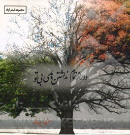 دور از تمام نداشتن‌های بی تو