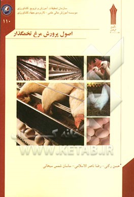 اصول پرورش مرغ تخمگذار