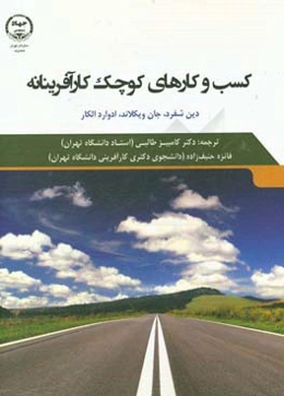 کسب و کارهای کوچک کارآفرینانه: دیدگاه منبع‌محور