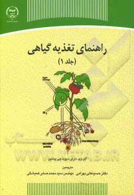 راهنمای تغذیه گیاهی