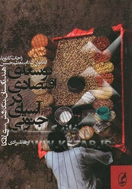 توسعه‌ی اقتصادی در آسیای جنوبی (هند، پاکستان، بنگلادش، سری‌لانکا)