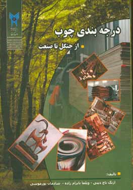 درجه‌بندی چوب از جنگل تا صنعت