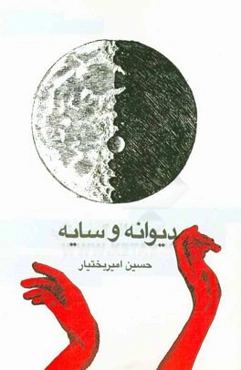 دیوانه و سایه