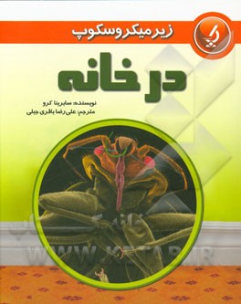 در خانه