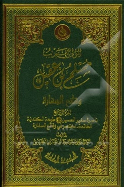 مسلم‌‌بن عقیل (ع): وقائع السفاره