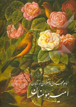 امام مهدی و منتظران از زبان امیر مومنان