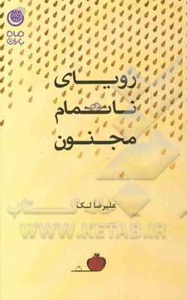 رویای ناتمام مجنون