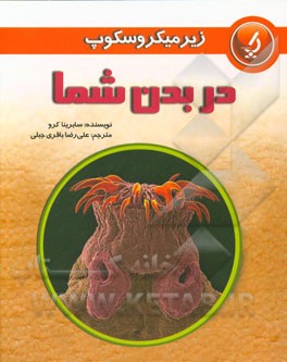 در بدن شما
