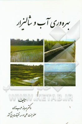 بهره‌وری آب و شالیزار