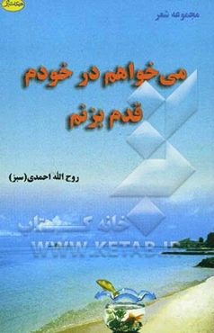 می‌خواهم در خودم قدم بزنم (مجموعه شعر)