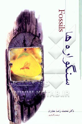 سنگواره‌ها = Fossil