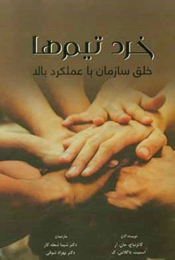 خرد تیم‌ها: خلق سازمان با رویکرد بالا