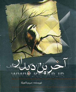 آخرین دیدار