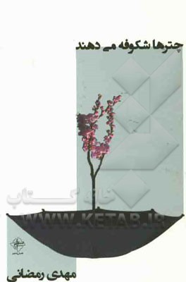 چترها شکوفه می‌دهند