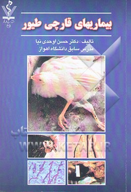 بیماریهای قارچی طیور