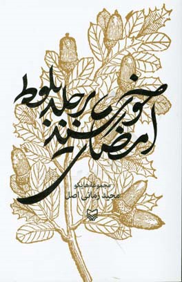 امضای خورشید بر جلد بلوط