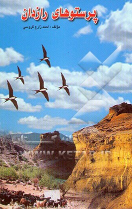 پرستوهای رازدان