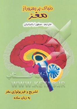 دنیای پر رمز و راز مغز: تشریح و فیزیولوژی مغز به زبان ساده