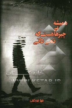 همیشه چیزهایی هست که نمی‌دانی