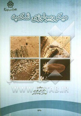 میکروبیولوژی شکمبه