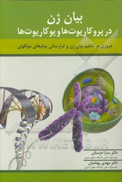 بیان ژن در پروکاریوت‌ها و یوکاریوت‌ها (مروری بر تنظیم ژن و ترارسانی پیام‌های مولکولی)