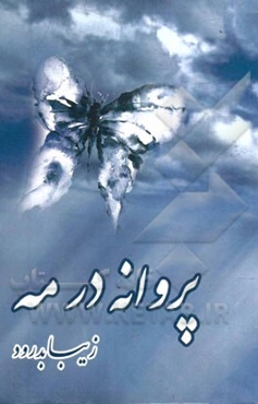 پروانه در مه