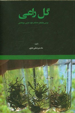 گل راعی: بررسی روش‌های مختلف تولید جنین سوماتیکی