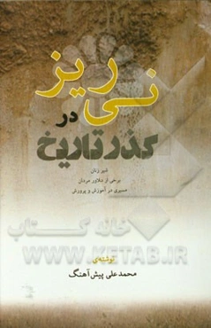 نی‌ریز در گذر تاریخ (شیرزنان) (برخی از دلاور مردان) (سیری در آموزش و پرورش)