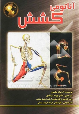 آناتومی کشش