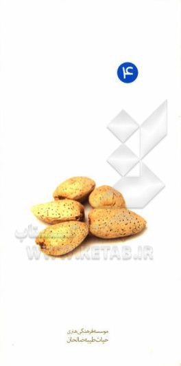 آداب پوشش و لباس