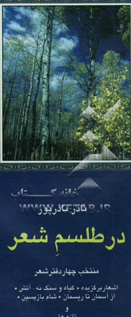 در طلسم شعر