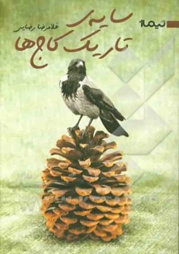 سایه‌ی تاریک کاج‌ها