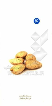 آداب پوشش و لباس