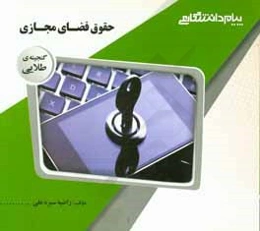 گنجینه‌ی طلایی حقوق فضای مجازی