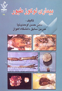 بیماری لوکوز طیور