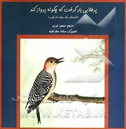 پرطلایی یاد گرفت که چگونه پرواز کند: داستان یک بچه‌ دارکوب
