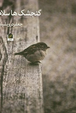 گنجشک‌ها! ... سلام