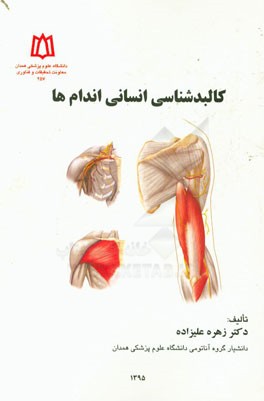 کالبدشناسی انسانی اندام‌ها